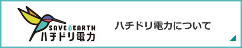 ハチドリ電力